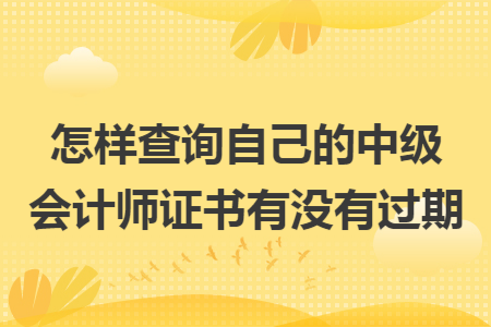 怎样查询自己的中级会计师证书有没有过期