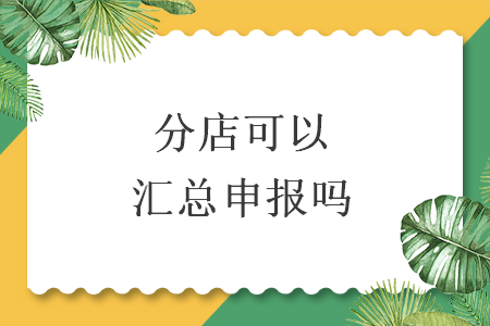 分店可以汇总申报吗