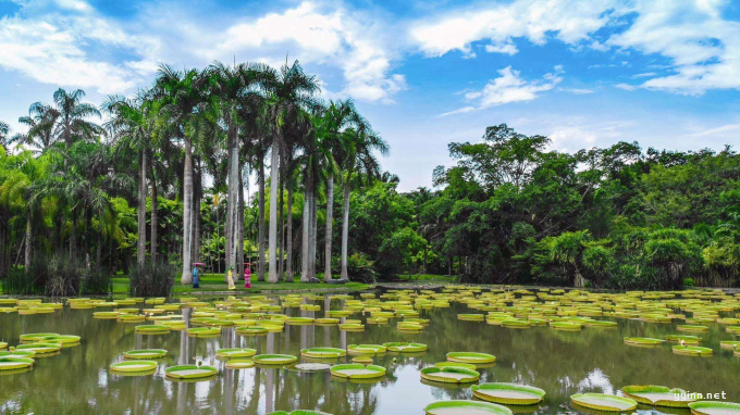 西双版纳自助游攻略，去云南旅游的注意事项