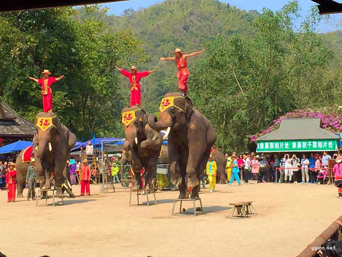 西双版纳自助游攻略，去云南旅游的注意事项