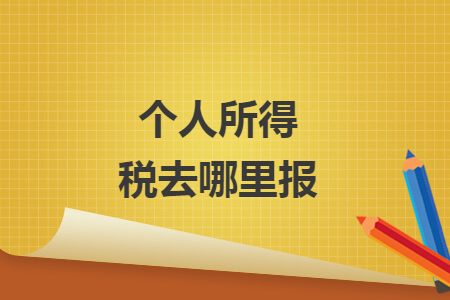 个人所得税去哪里报