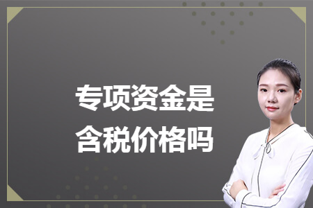 专项资金是含税价格吗