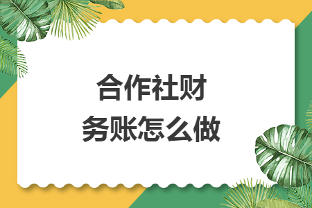 合作社财务账怎么做