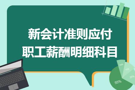 新会计准则应付职工薪酬明细科目
