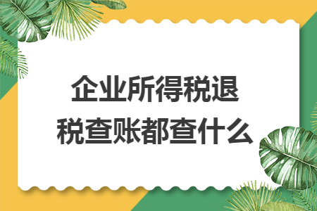 企业所得税退税查账都查什么