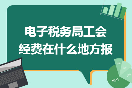 电子税务局工会经费在什么地方报