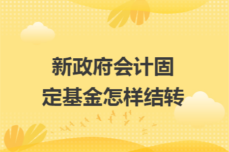 新政府会计固定基金怎样结转