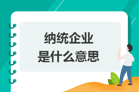 纳统企业是什么意思