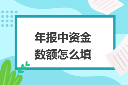 年报中资金数额怎么填