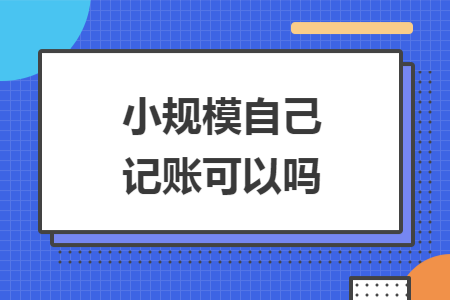 小规模自己记账可以吗