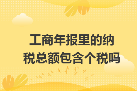 工商年报里的纳税总额包含个税吗