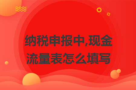 纳税申报中,现金流量表怎么填写