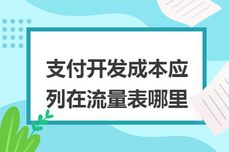 支付开发成本应列在流量表哪里