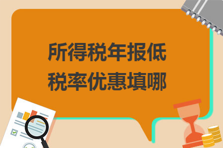 所得税年报低税率优惠填哪
