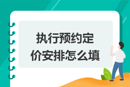 执行预约定价安排怎么填