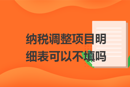 纳税调整项目明细表可以不填吗