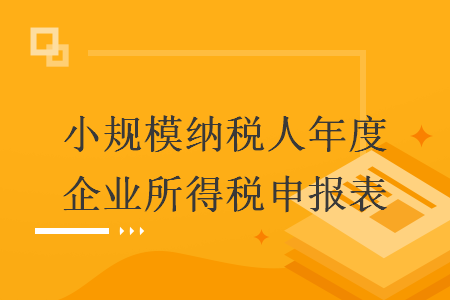 小规模纳税人年度企业所得税申报表