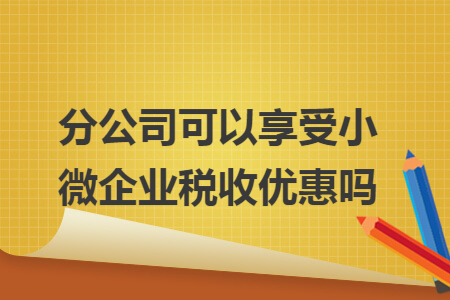 分公司可以享受小微企业税收优惠吗