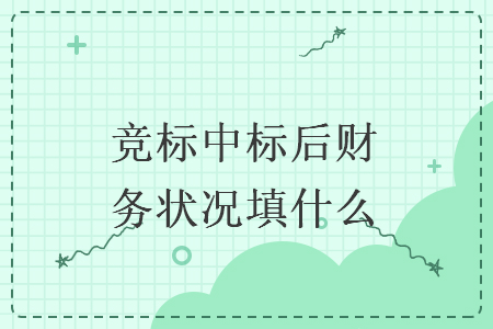 竞标中标后财务状况填什么