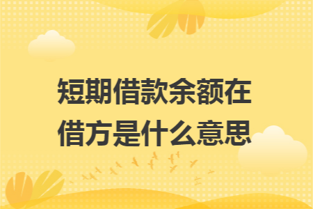 短期借款余额在借方是什么意思