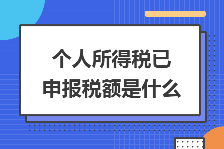 个人所得税已申报税额是什么
