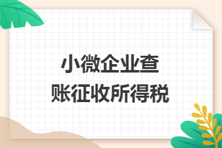 小微企业查账征收所得税