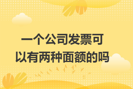 一个公司发票可以有两种面额的吗