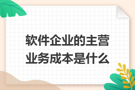 软件企业的主营业务成本是什么