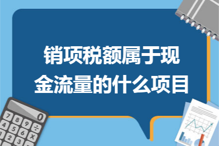 销项税额属于现金流量的什么项目