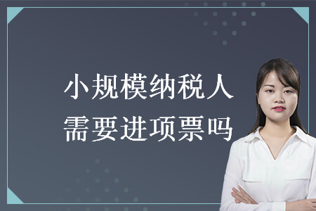 小规模纳税人需要进项票吗