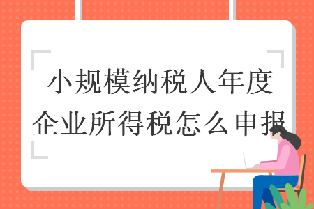 小规模纳税人年度企业所得税怎么申报