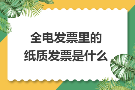 全电发票里的纸质发票是什么
