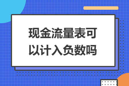 现金流量表可以计入负数吗