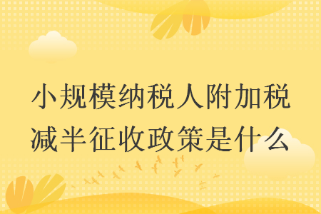 小规模纳税人附加税减半征收政策是什么