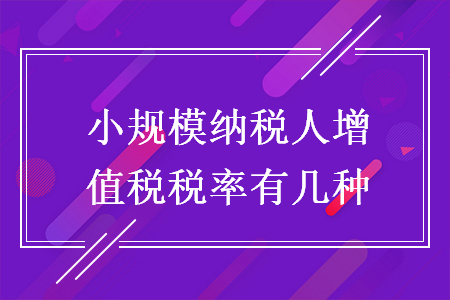 小规模纳税人增值税税率有几种
