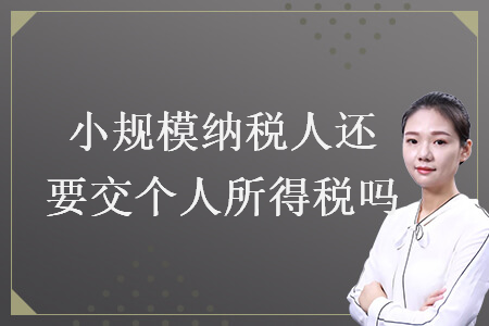 小规模纳税人还要交个人所得税吗