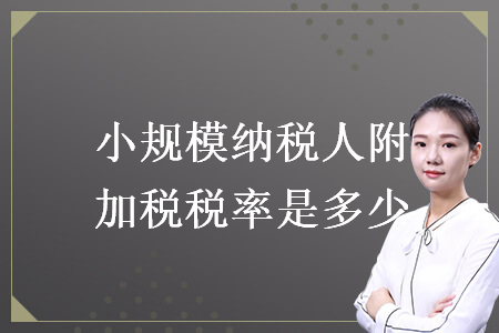 小规模纳税人附加税税率是多少