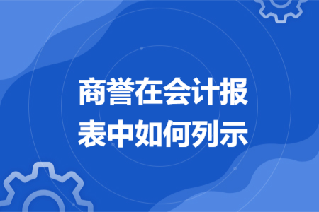 商誉在会计报表中如何列示