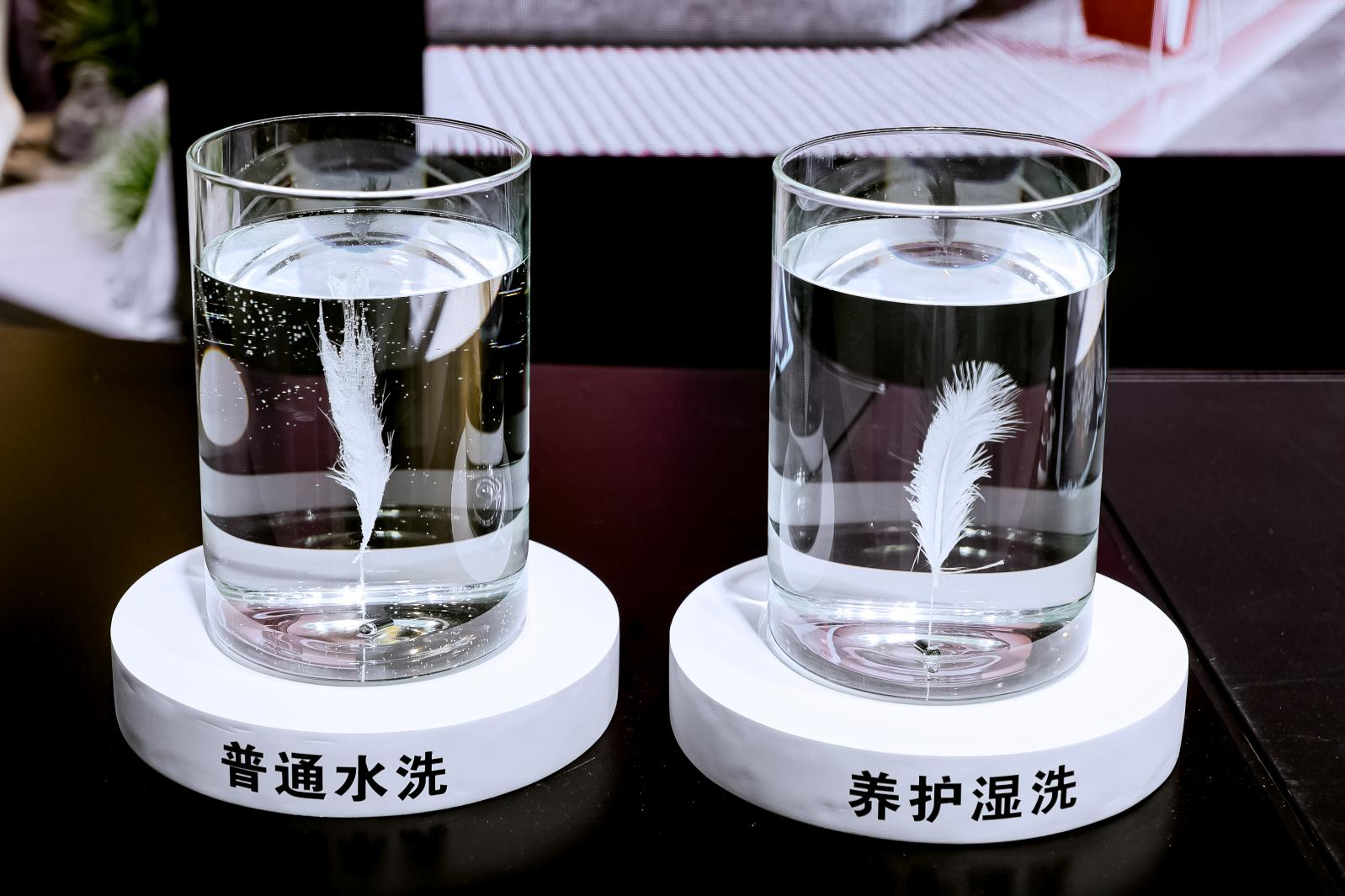 一体嵌入、分区养护！卡萨帝联合福建苏宁易购宝龙Max店在福建首推分区洗衣房理念