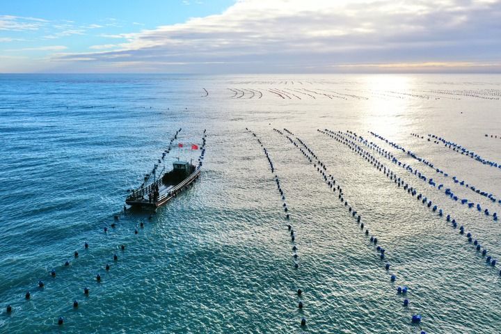 福建：挺进更加广阔的“蓝海”