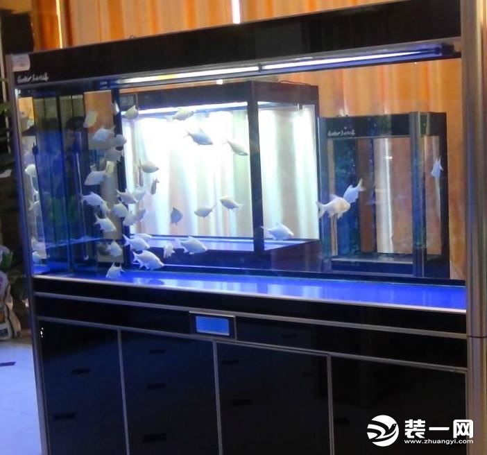 生态鱼缸效果图