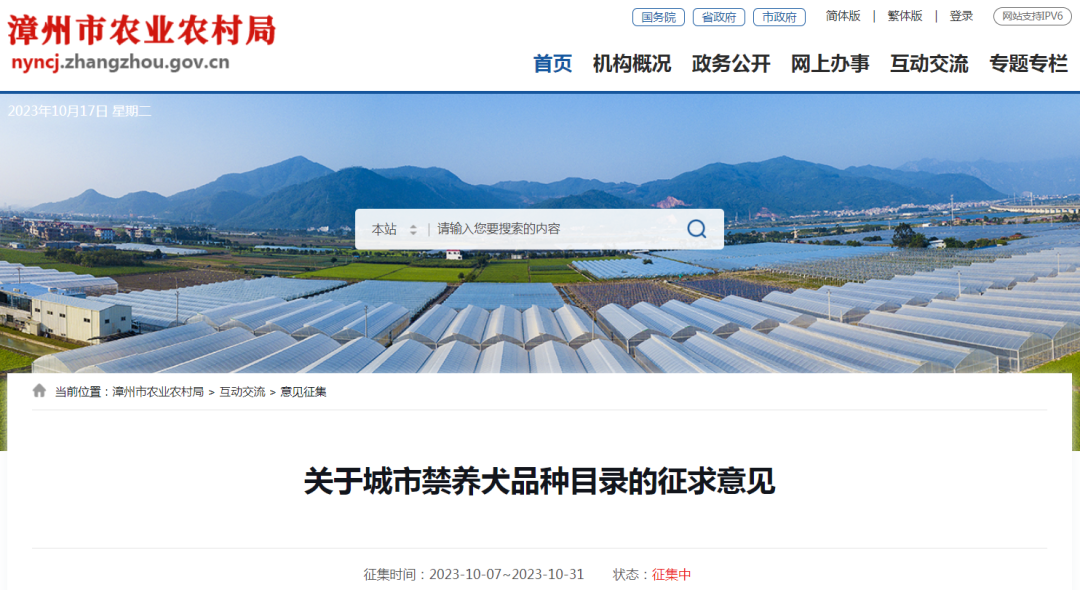 全城征集！这些狗，漳州禁养！