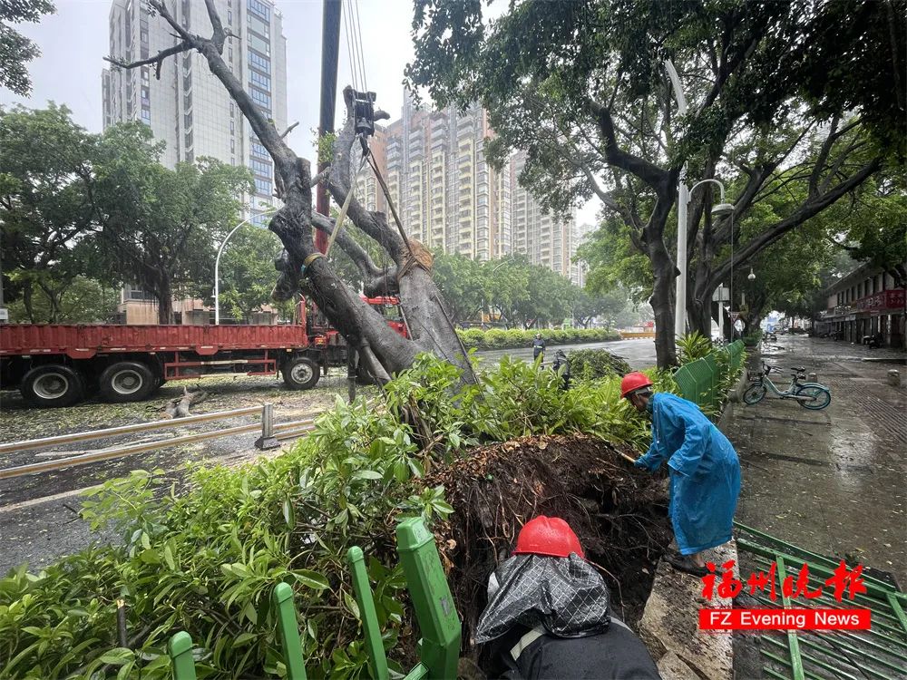 台风“格美”即将登陆福建！福州严阵以待！