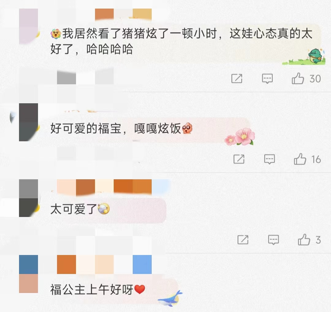 福宝，闪亮登场！