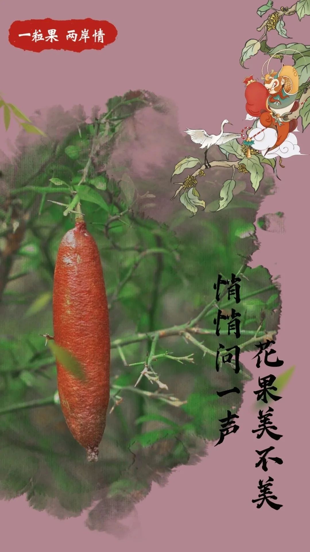 福建有座“花果山”！孙悟空也来了！