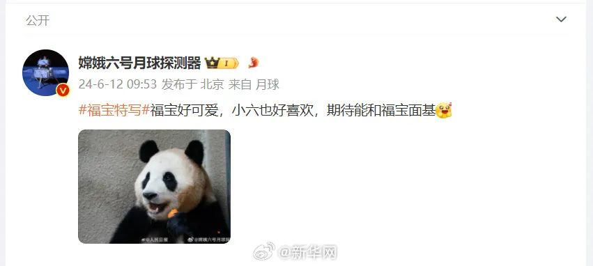 福宝，闪亮登场！