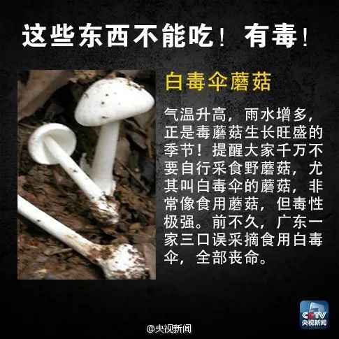 毒性比砒霜高百倍！多地发布预警：别买！别吃！