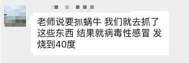 雨后看到这种“入侵物种”千万别碰，很危险！
