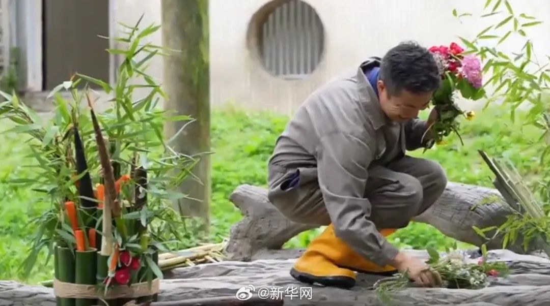 福宝，闪亮登场！