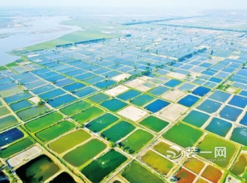 拆迁后分有6套房子 郑州土著不做包租公到做起渔民